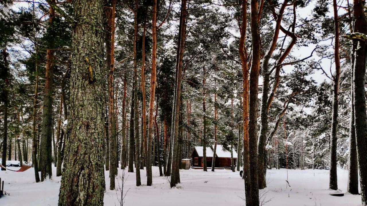 Joeaeaere Puhkekeskus Villa Langa Luaran gambar