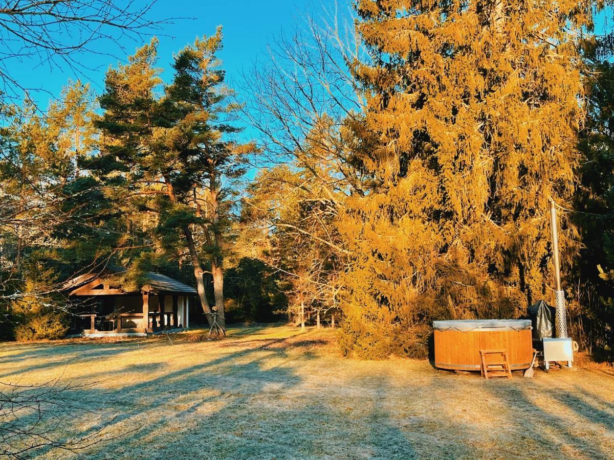 Joeaeaere Puhkekeskus Villa Langa Luaran gambar