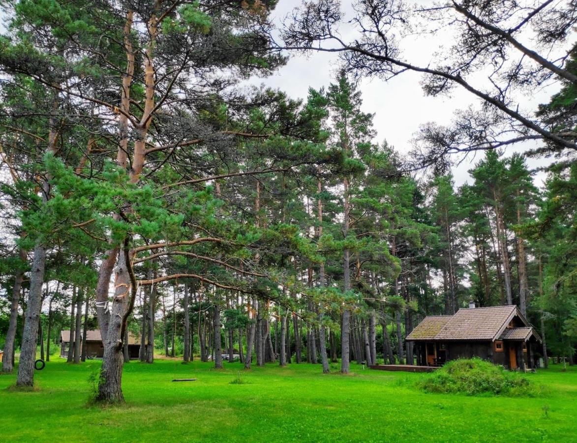 Joeaeaere Puhkekeskus Villa Langa Luaran gambar