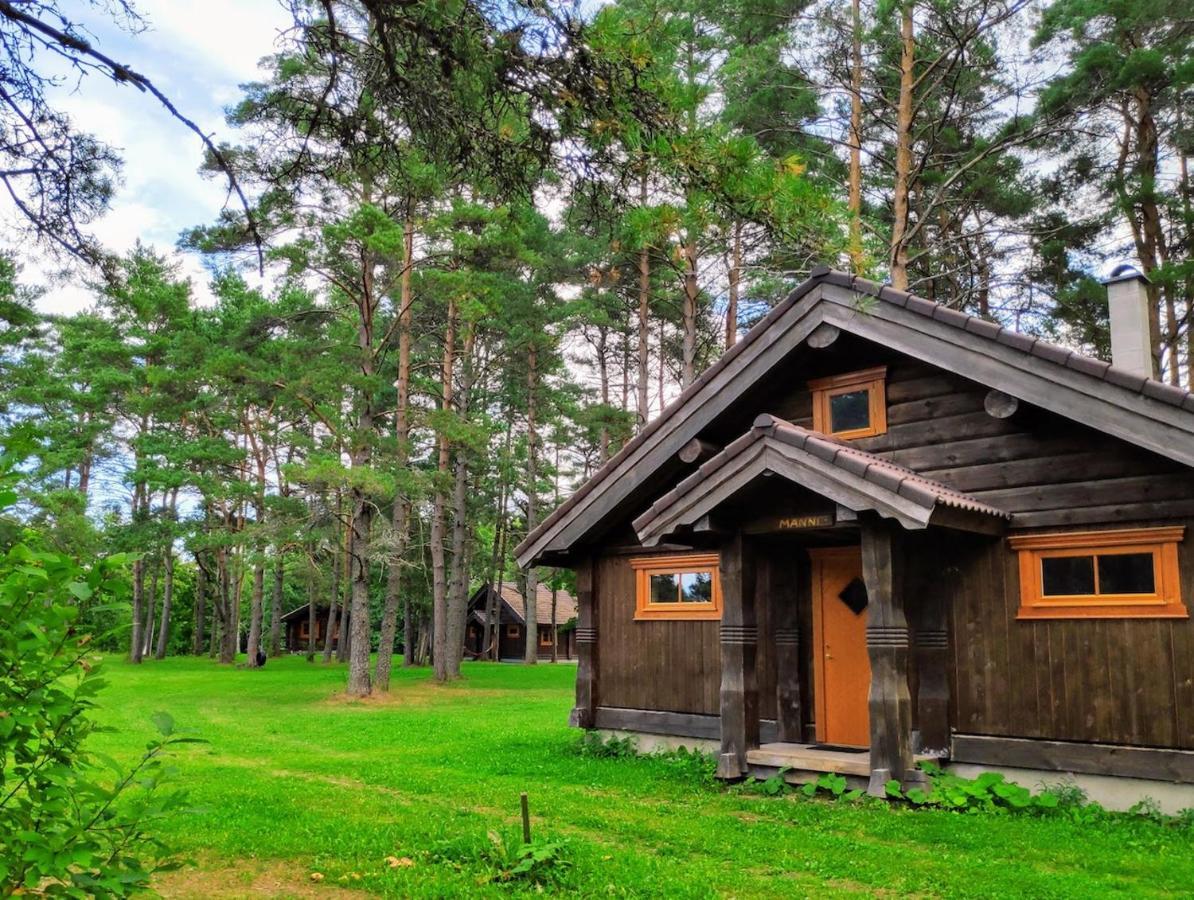 Joeaeaere Puhkekeskus Villa Langa Luaran gambar